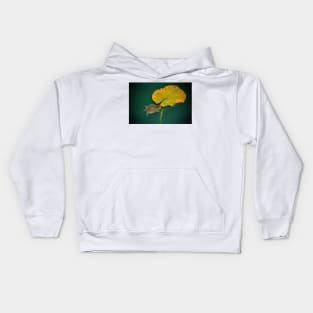 Baby Turtle And Lily Pad Kids Hoodie